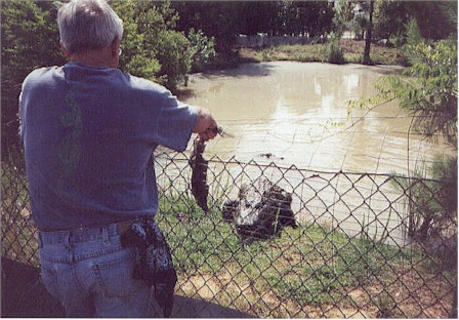 Whit feeds Stumpy a squirrel.