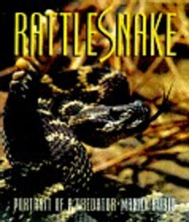 Rattlesnake: Portrait of a Predator