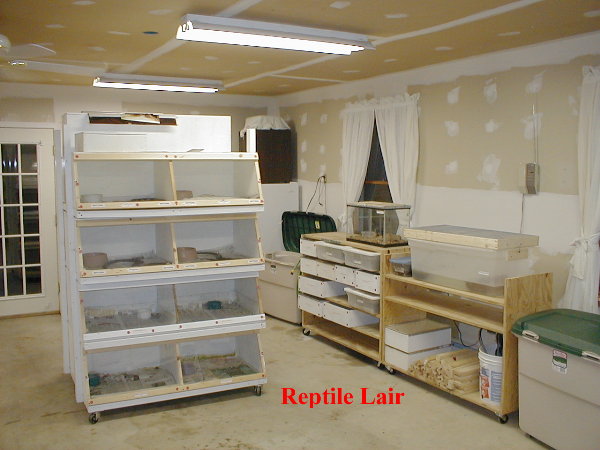 Reptile_Room_Update1_7-02.jpg [63 Kb]