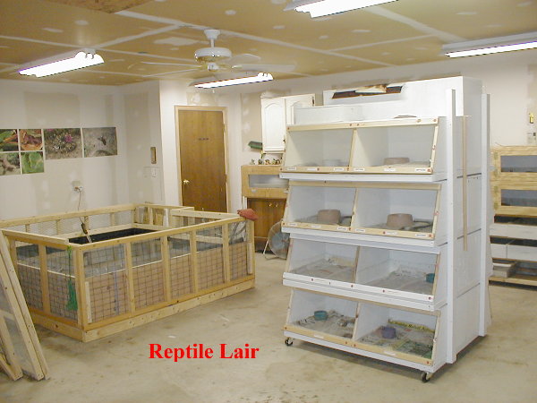 Reptile_Room_Update2_7-02.jpg [66 Kb]