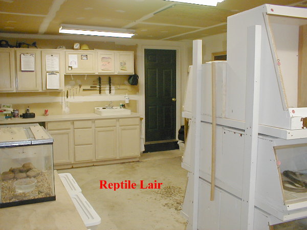 Reptile_Room_Update3_7-02.jpg [59 Kb]