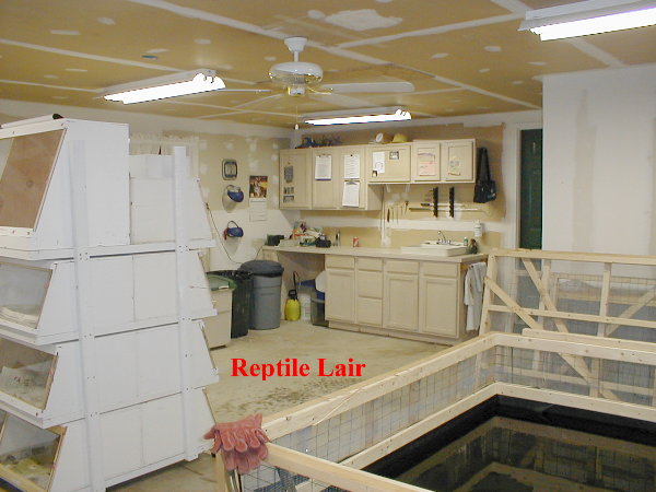 Reptile_Room_Update4_7-02.jpg [65 Kb]