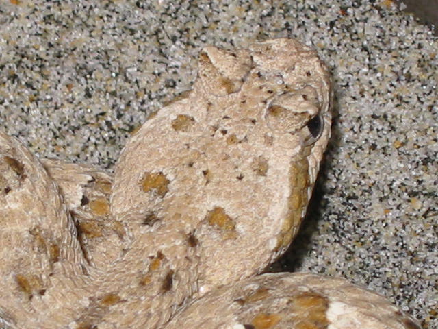 IMG_0292.JPG [84 Kb]