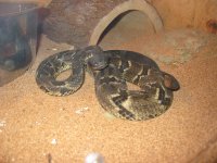 Img_0139.jpg [9 Kb]