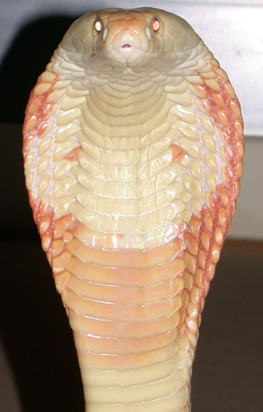 Dscn2622a.jpg [62 Kb]