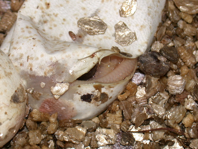 DSCN3210.JPG [237 Kb]