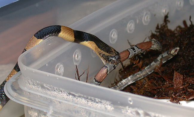 DSCN3220.JPG [169 Kb]