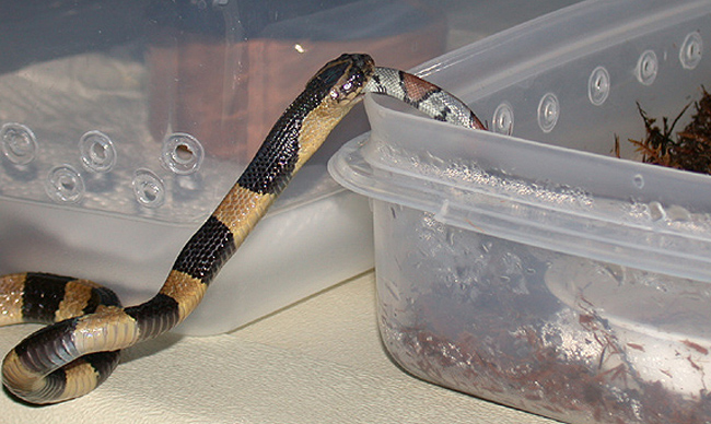 DSCN3222.JPG [174 Kb]