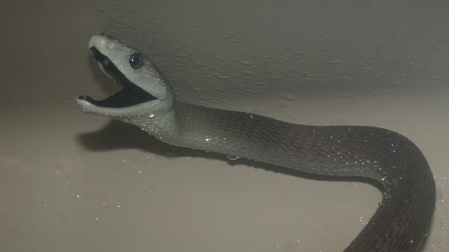 DSCN3257.JPG [117 Kb]