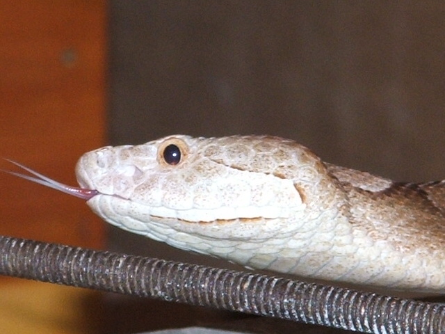 DSCF1320.JPG [122 Kb]