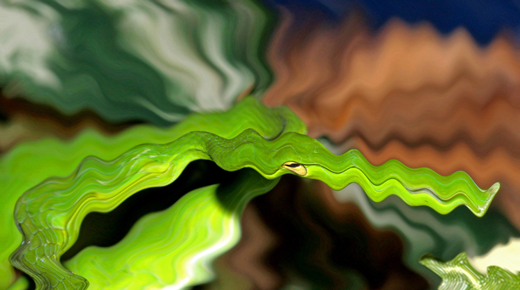 IMG_7941distorted.jpg [265 Kb]